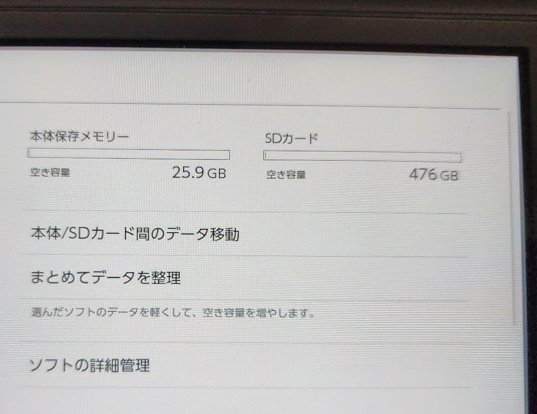 Switch Lite グレー 2024年製 sandisk512GB