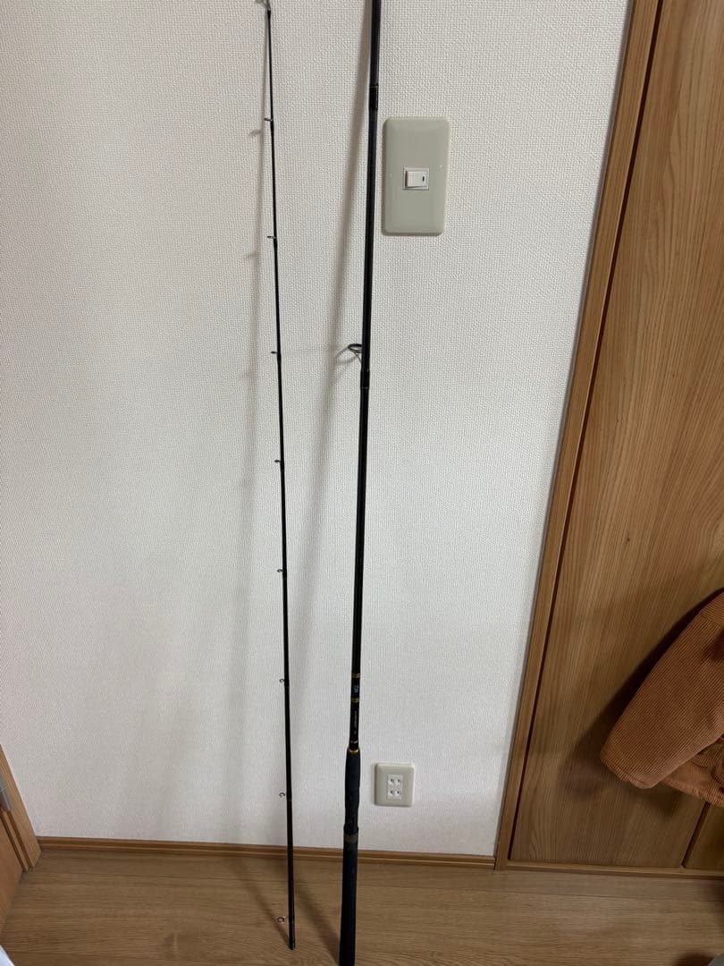 ダイワ　ルアーニスト　96m シーバス　サーフ　スピニング　DAIWA