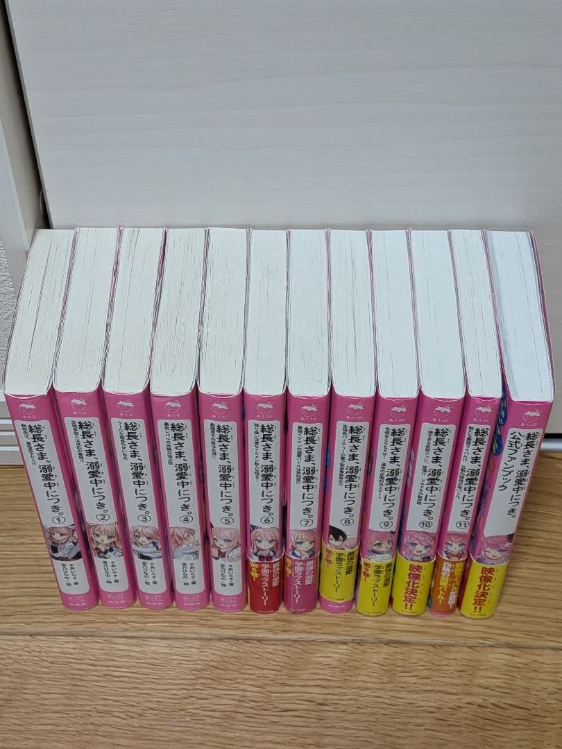 総長さま、溺愛中につき。 【11冊セットプラス公式ファンブック⭐︎】