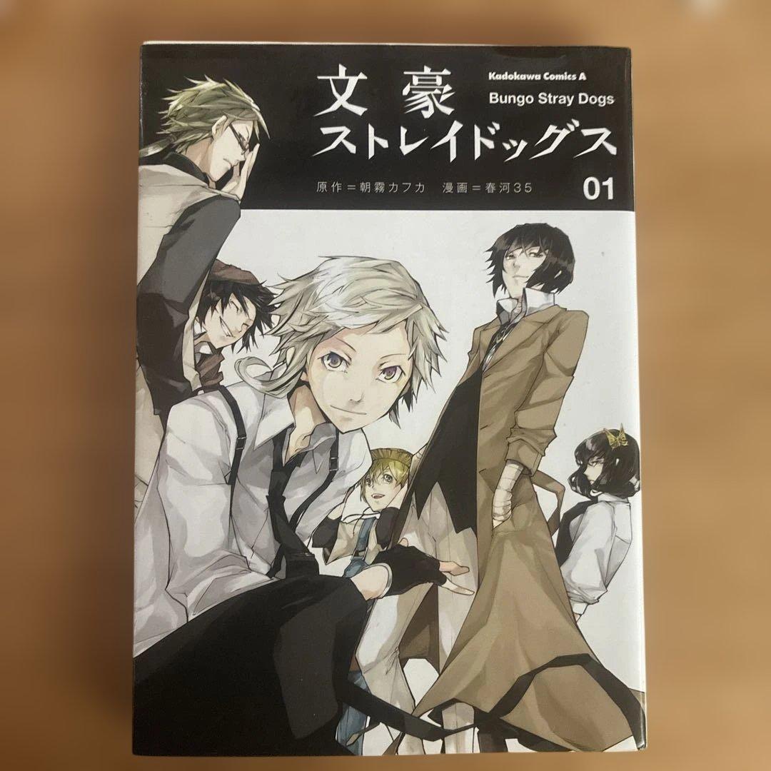 文スト マンガ30巻セット