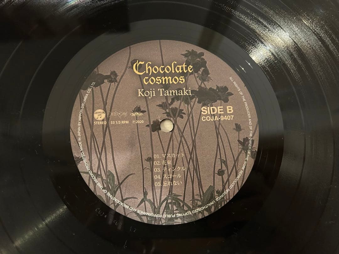 玉置浩二 / Chocolate cosmos LP