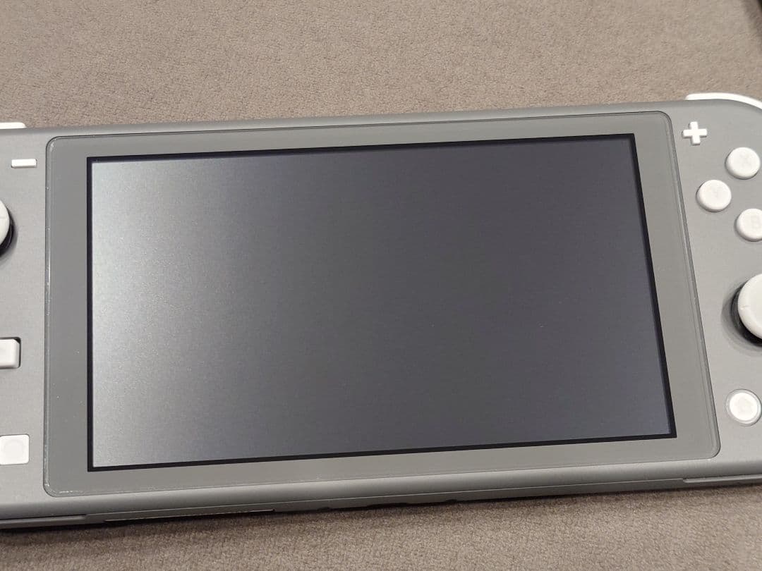 ニンテンドー　Switch lite　本体　(箱なし)