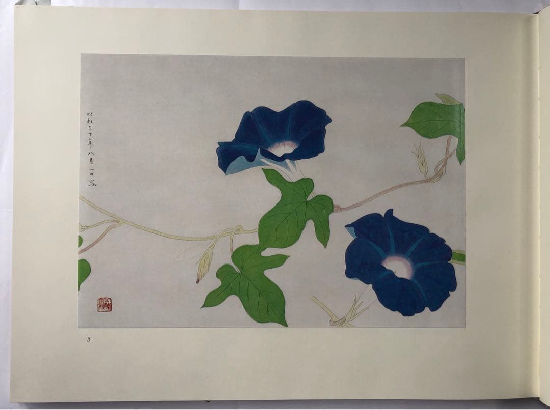 『傳神譜』中村岳陵　写生画集 4冊揃281点　四季の植物　風景　古美術　大型本