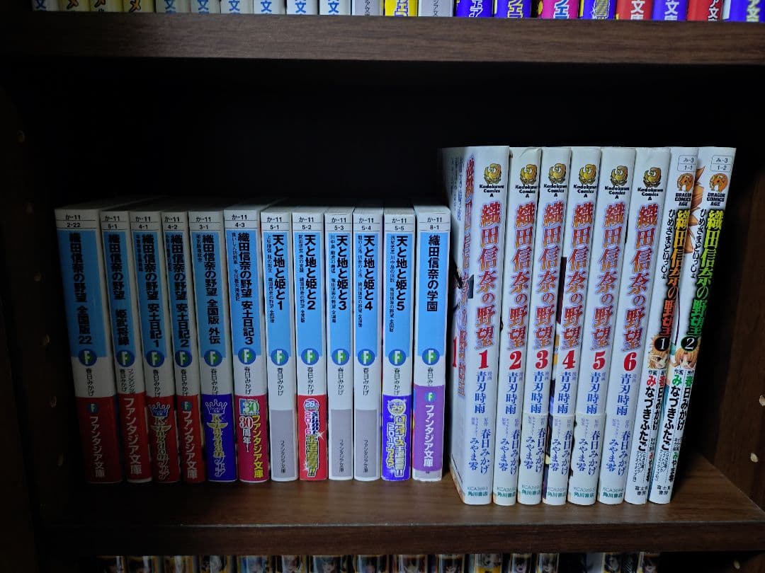 【ライトノベル】織田信奈の野望 ラノベ全22巻＋外伝＋漫画版 計41冊まとめ売り