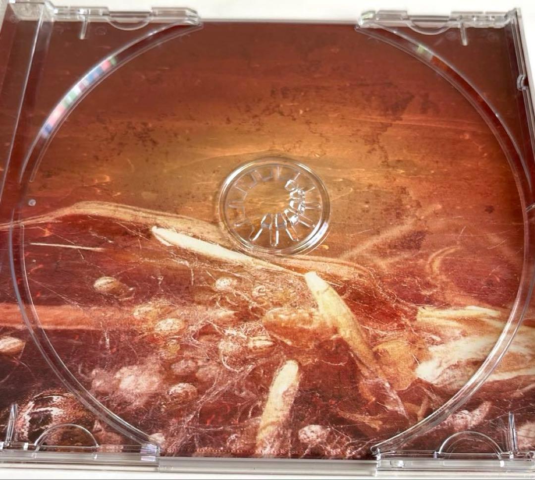 Non Human Level/CD 廃盤 Listenable レア盤