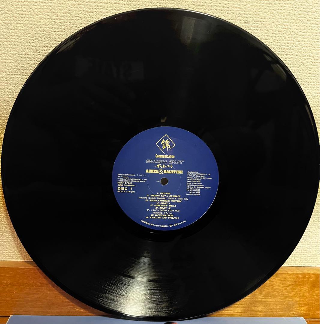 ACKEE&SALTFISH / BUSH OUT レゲエ レコード ジャパレゲ