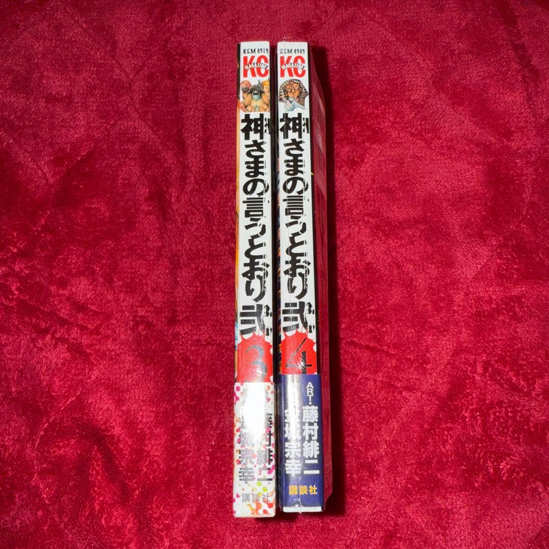 専用 神さまの言うとおり 弐 3 4