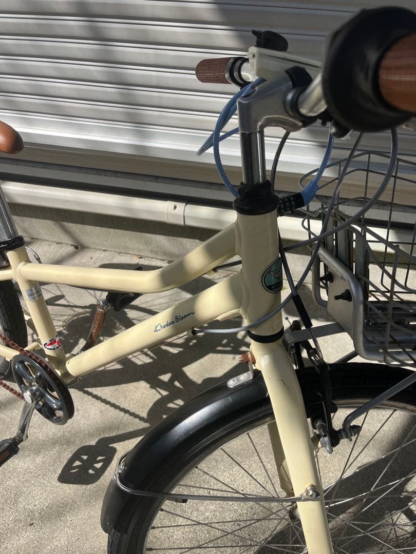 コーダーブルームasson J24 アイボリー
