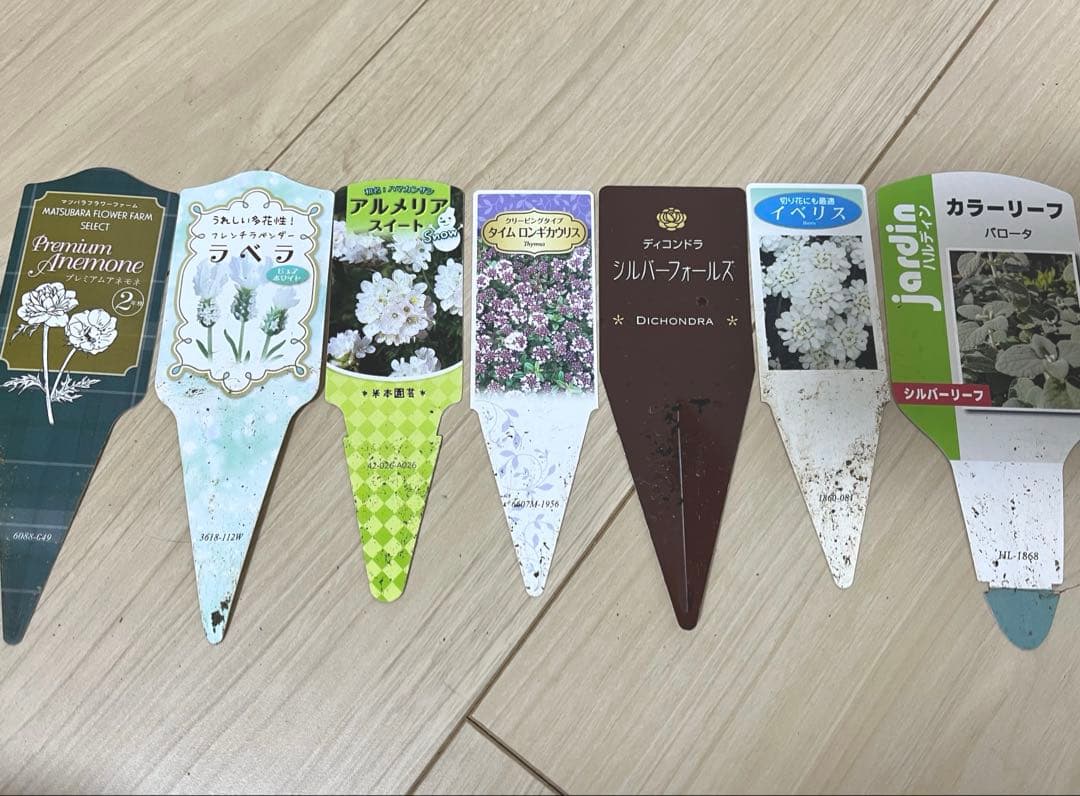 ホワイト＆ピンクの寄せ植え