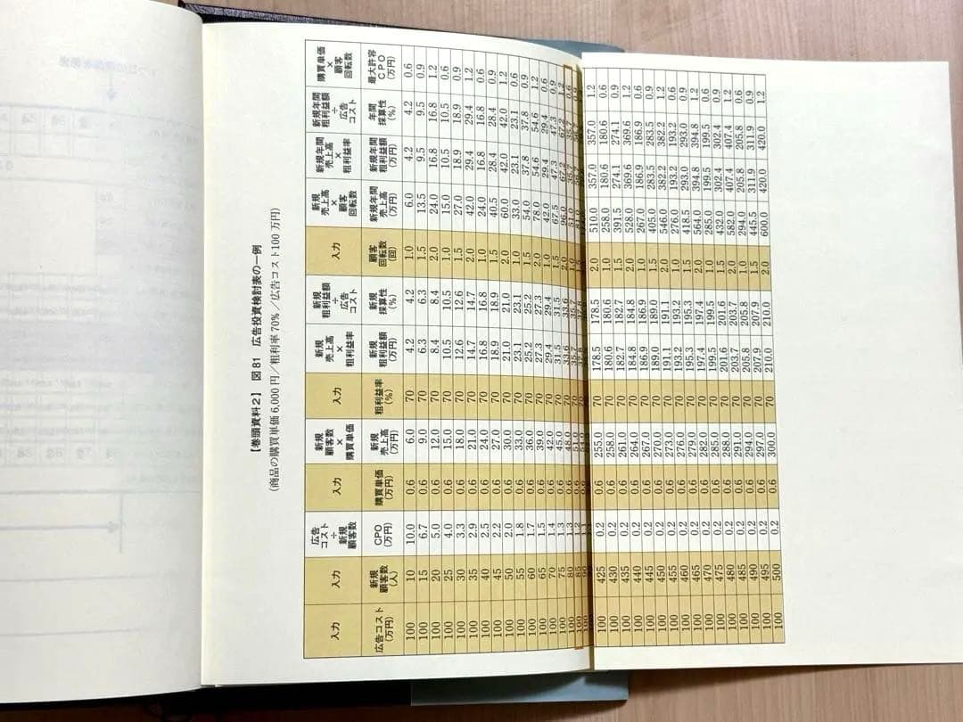 【即日発送・資料付き】5年で100億を超える 100億マニュアル