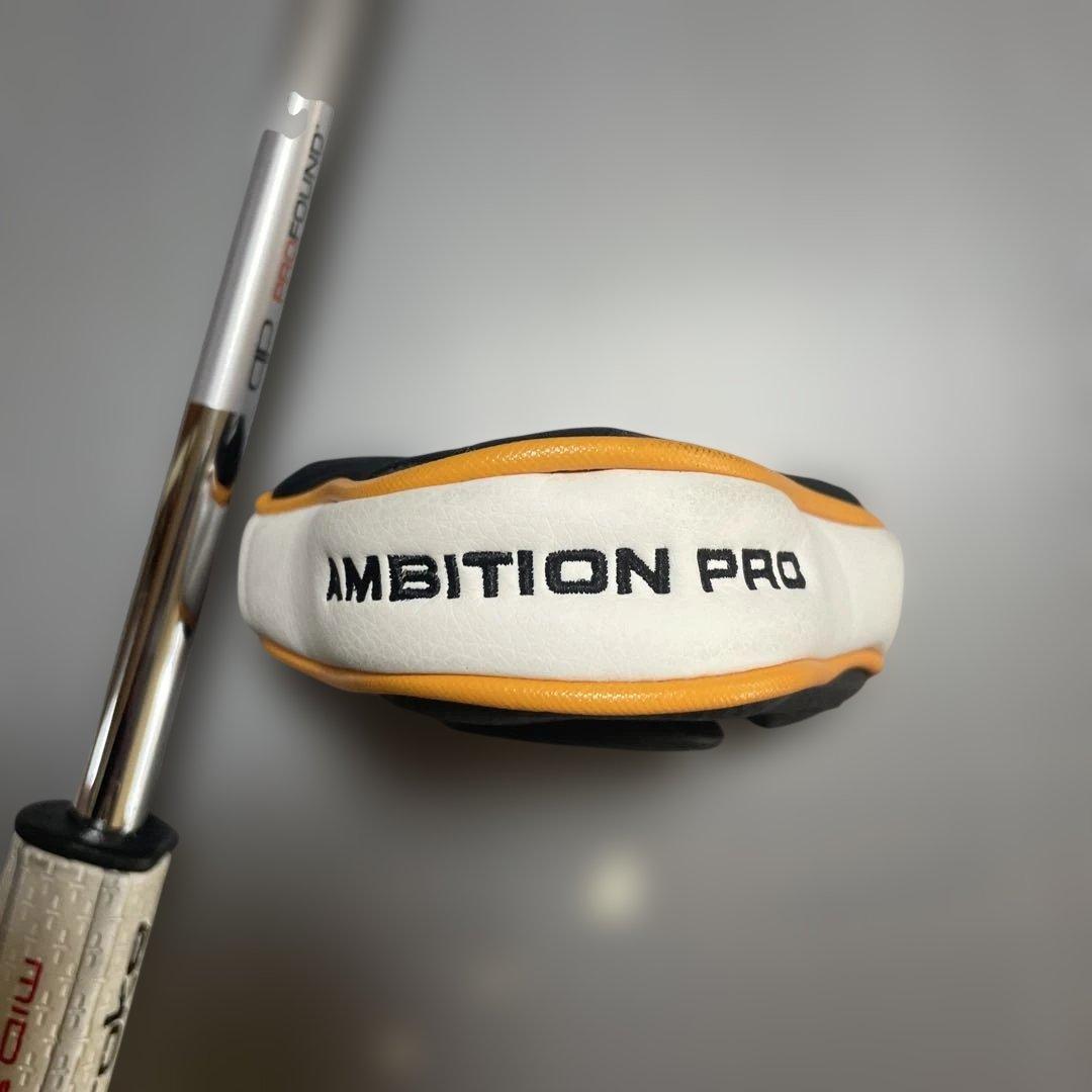 PROFOUNDAMBITION PRO パター 35インチパターカバー綺麗です