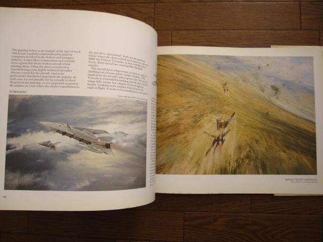 アート・デザイン・音楽 AIR COMBAT PAINTINGS OF ROBERT TAYLOR