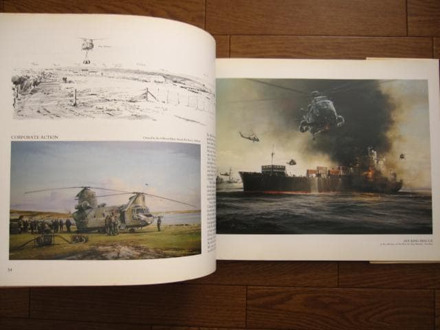 アート・デザイン・音楽 AIR COMBAT PAINTINGS OF ROBERT TAYLOR