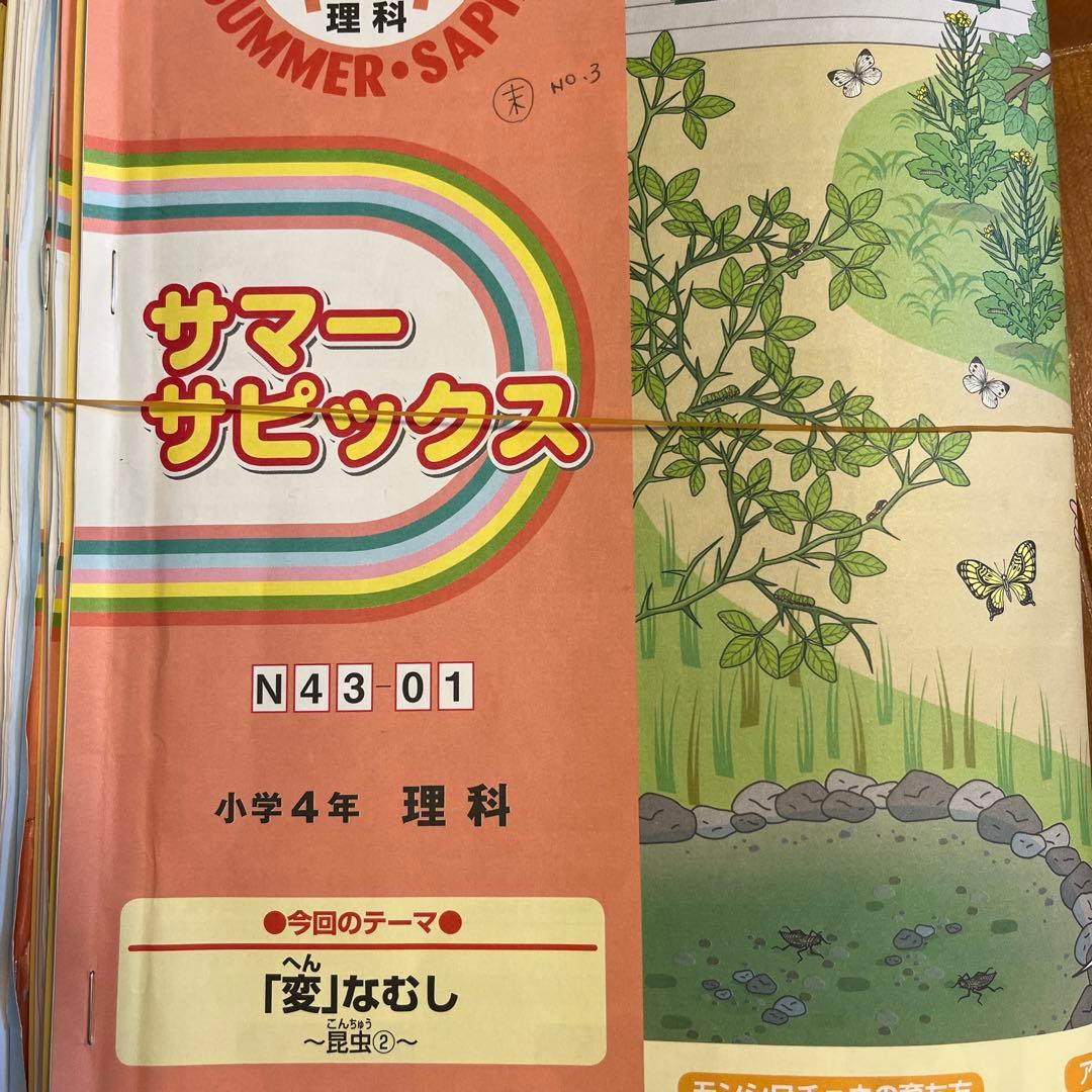 サピックス　SAPIX 小学４年生　理科　社会　デイリーサピックス　セット