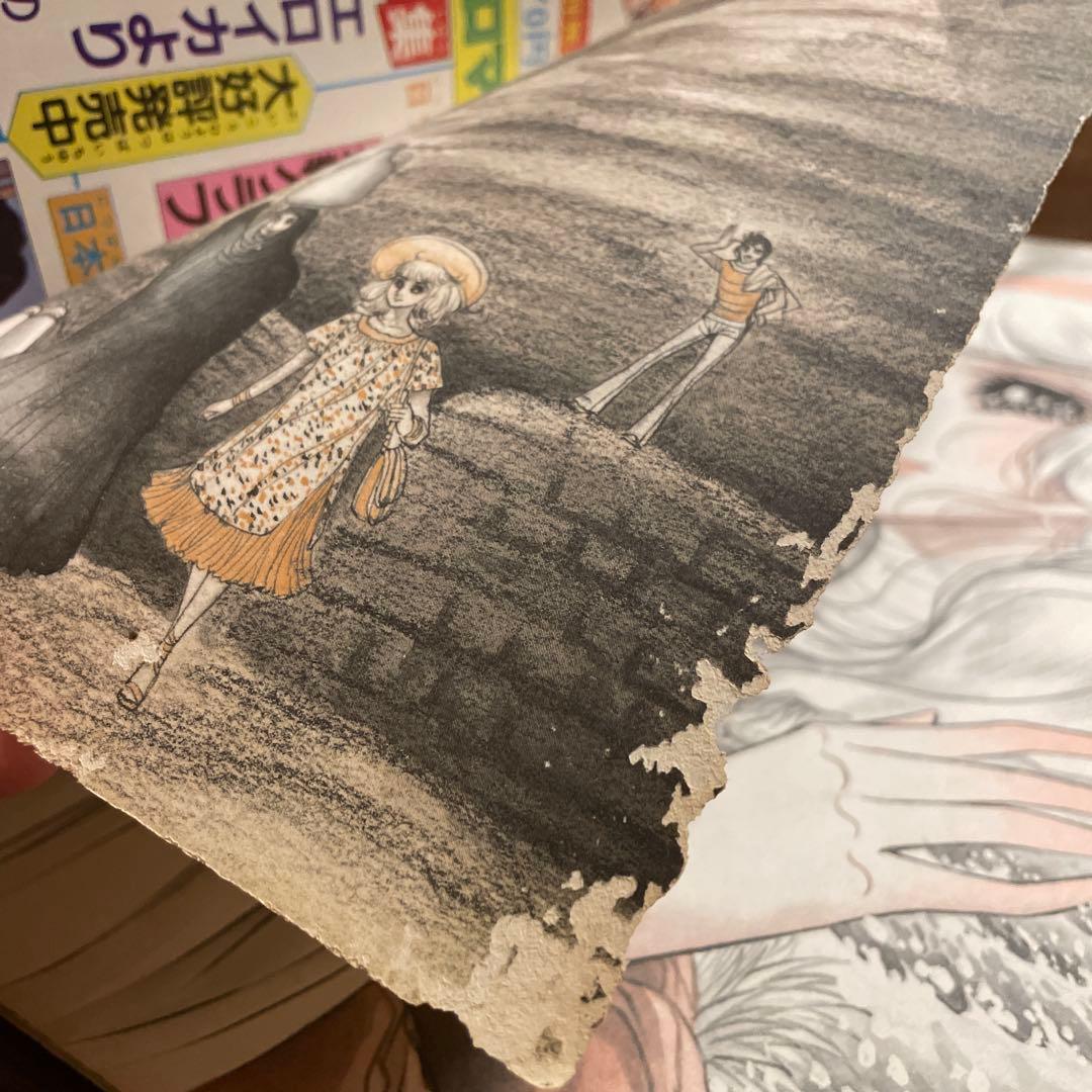王家の紋章 イラスト集 細川知栄子 超希少・非売品のおまけ付き プリンセス