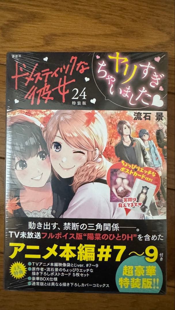 ドメスティックな彼女　特装版