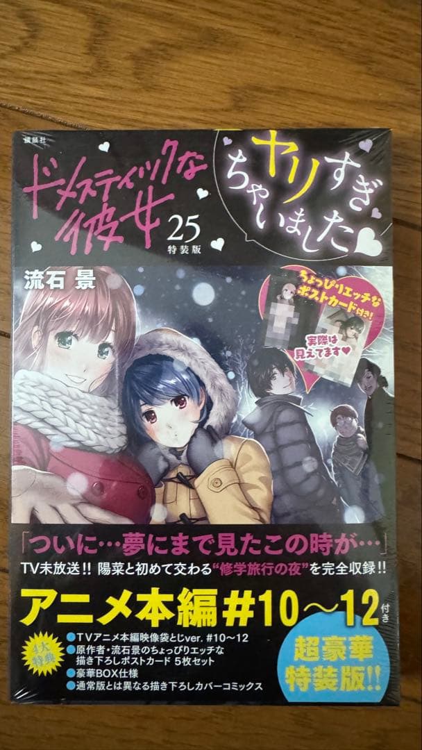ドメスティックな彼女　特装版