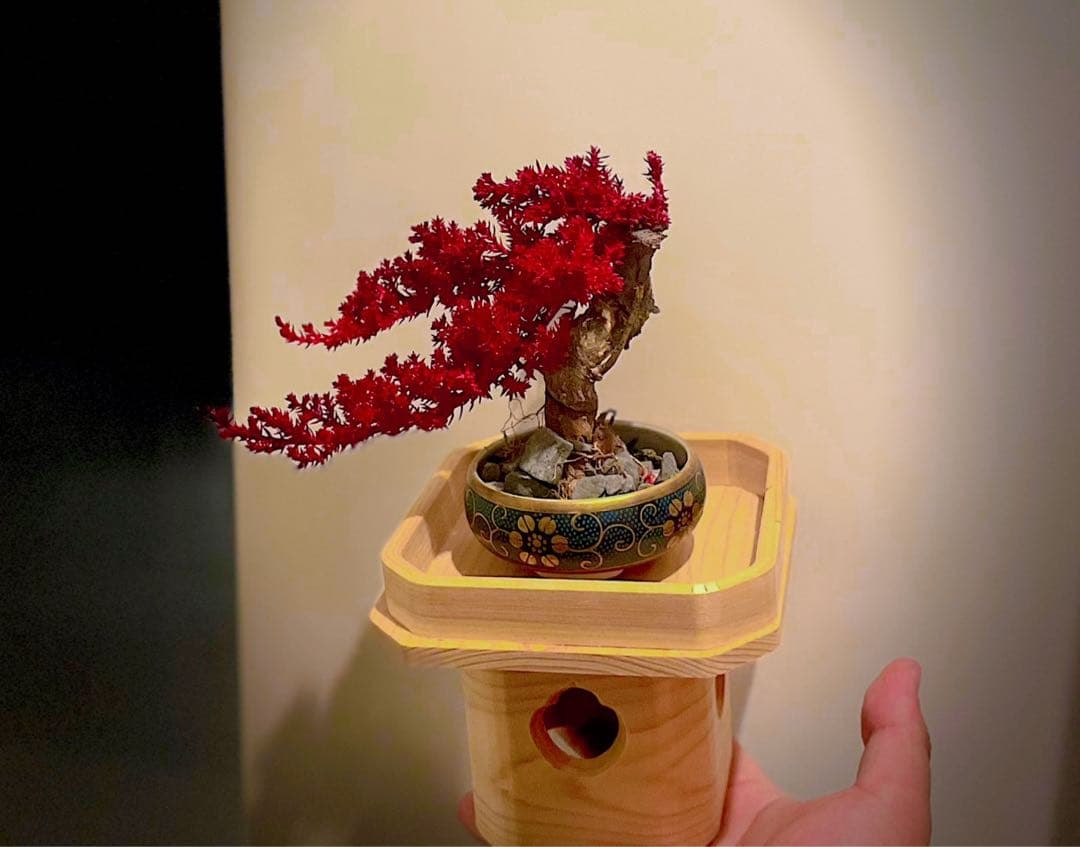 REBONSAI】枯れない盆栽アートTOUFU TOKYO