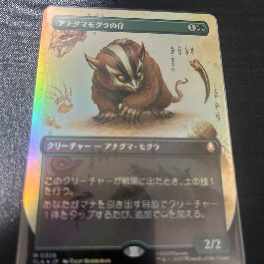 お*、様 アナグマモグラの仔　ボーダーレスfoil