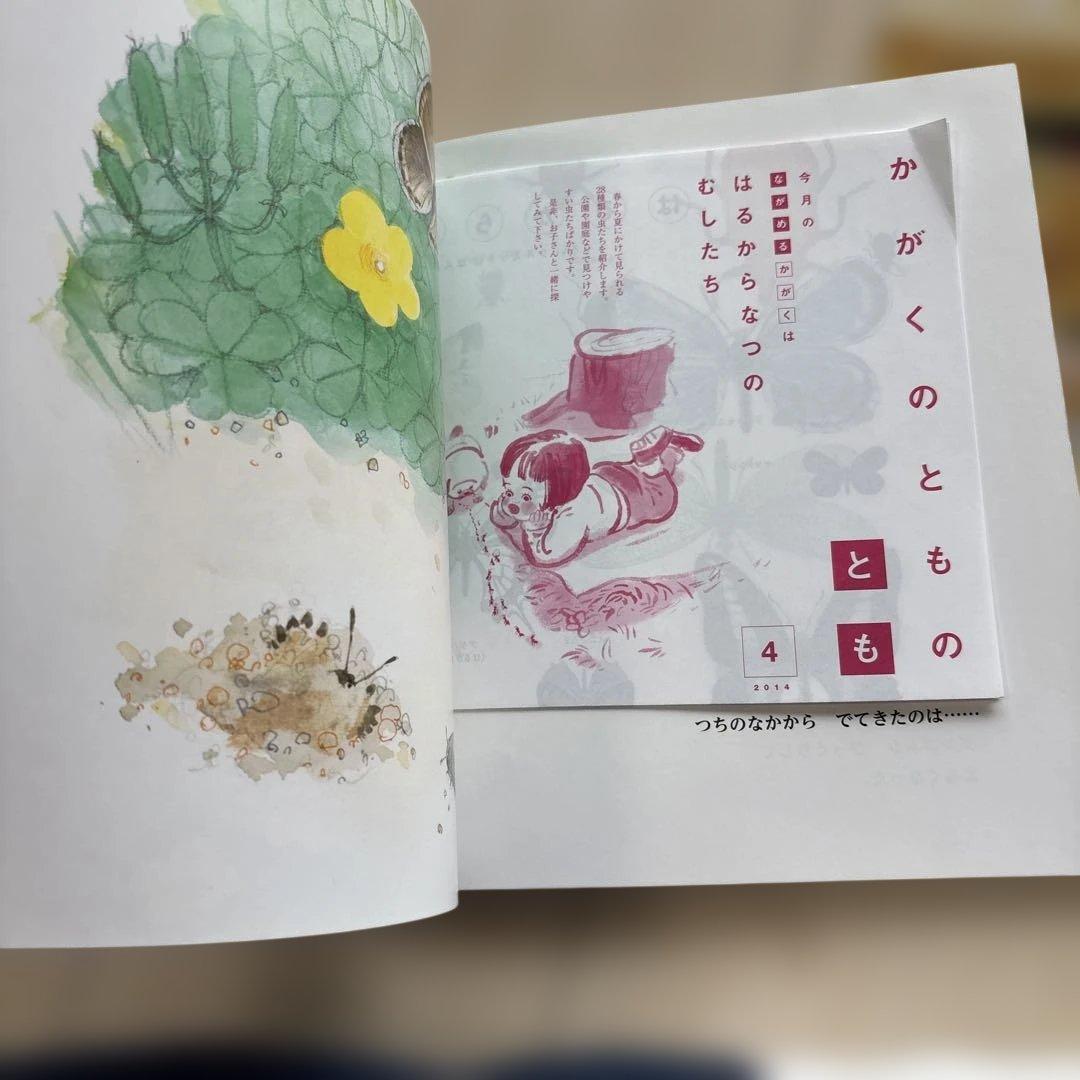 月刊かがくのとも　絵本シリーズ 全26冊