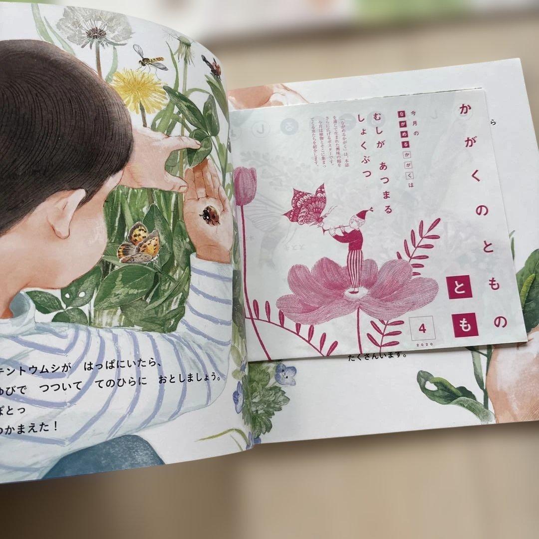 月刊かがくのとも　絵本シリーズ 全26冊