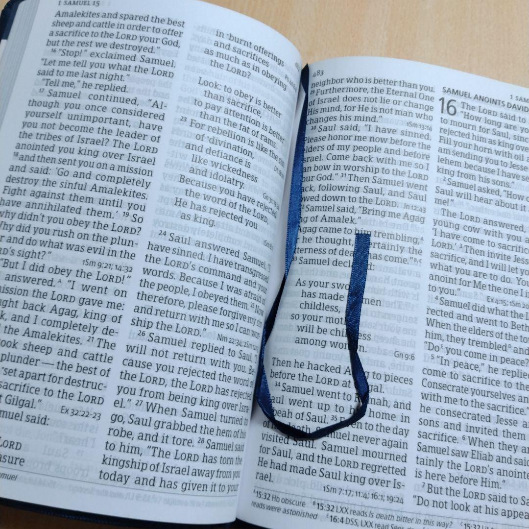 HOLY BIBLE HCSB （キリスト教 本）