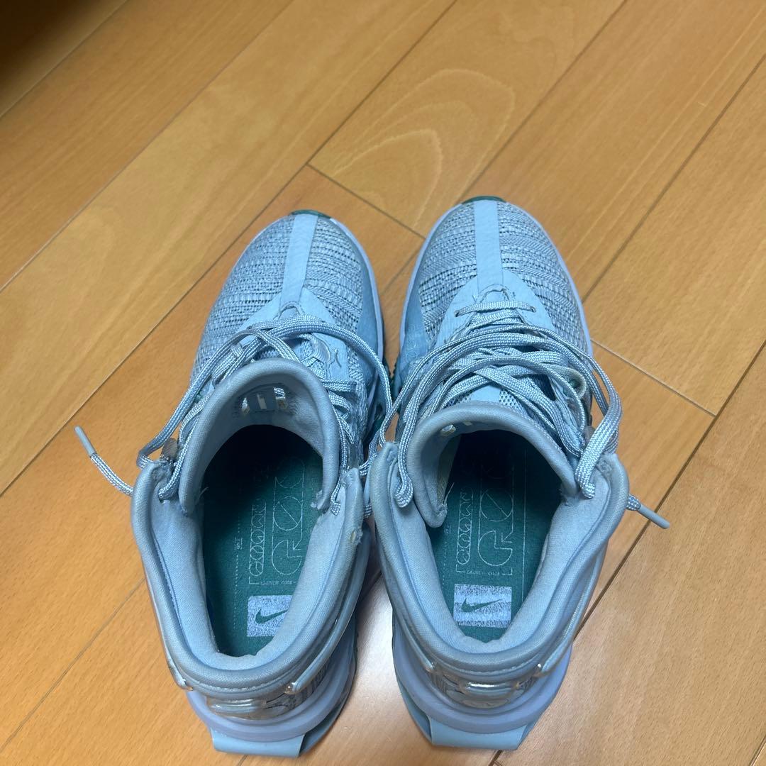 Nike GTジャンプ25cm