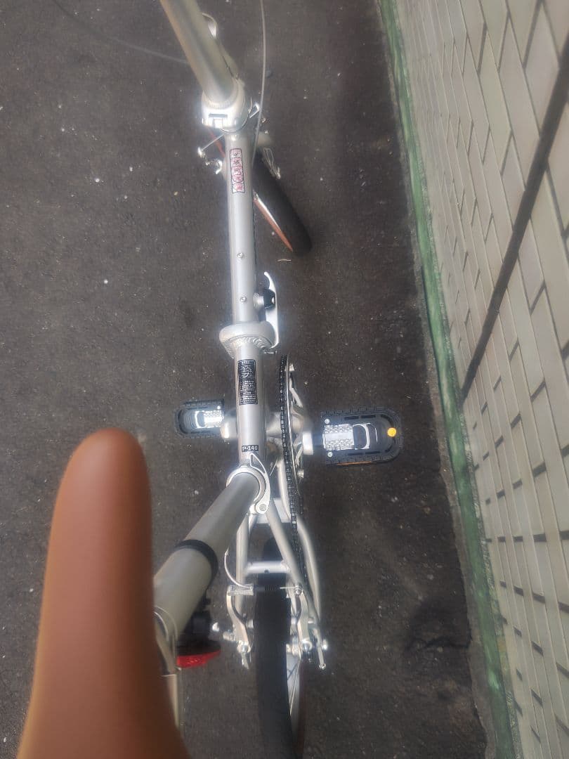 いぬけん PROVROS P140 シングル