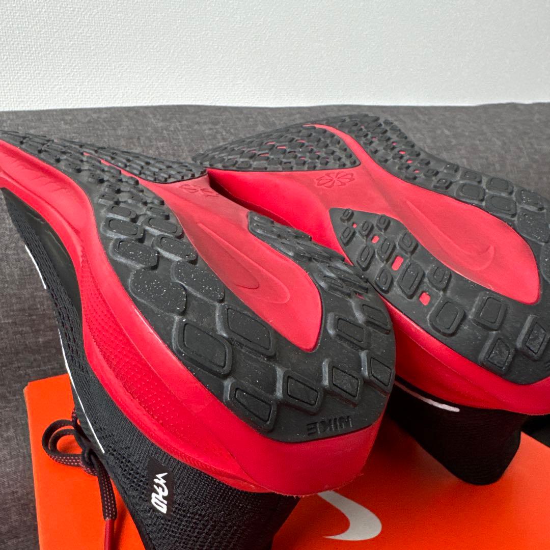 ペガサス 41 NIKE ナイキ 28.5cm