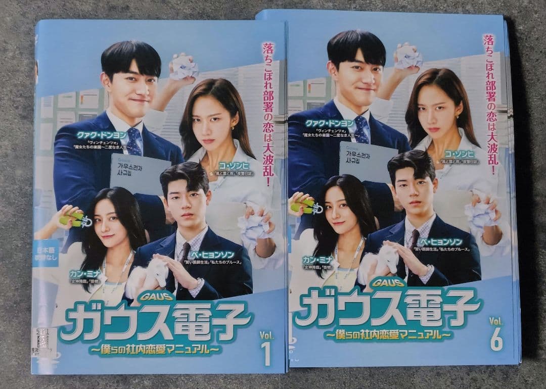 【韓国ドラマ】DVD『ガウス電子～僕らの社内恋愛マニュアル～』(全話)
