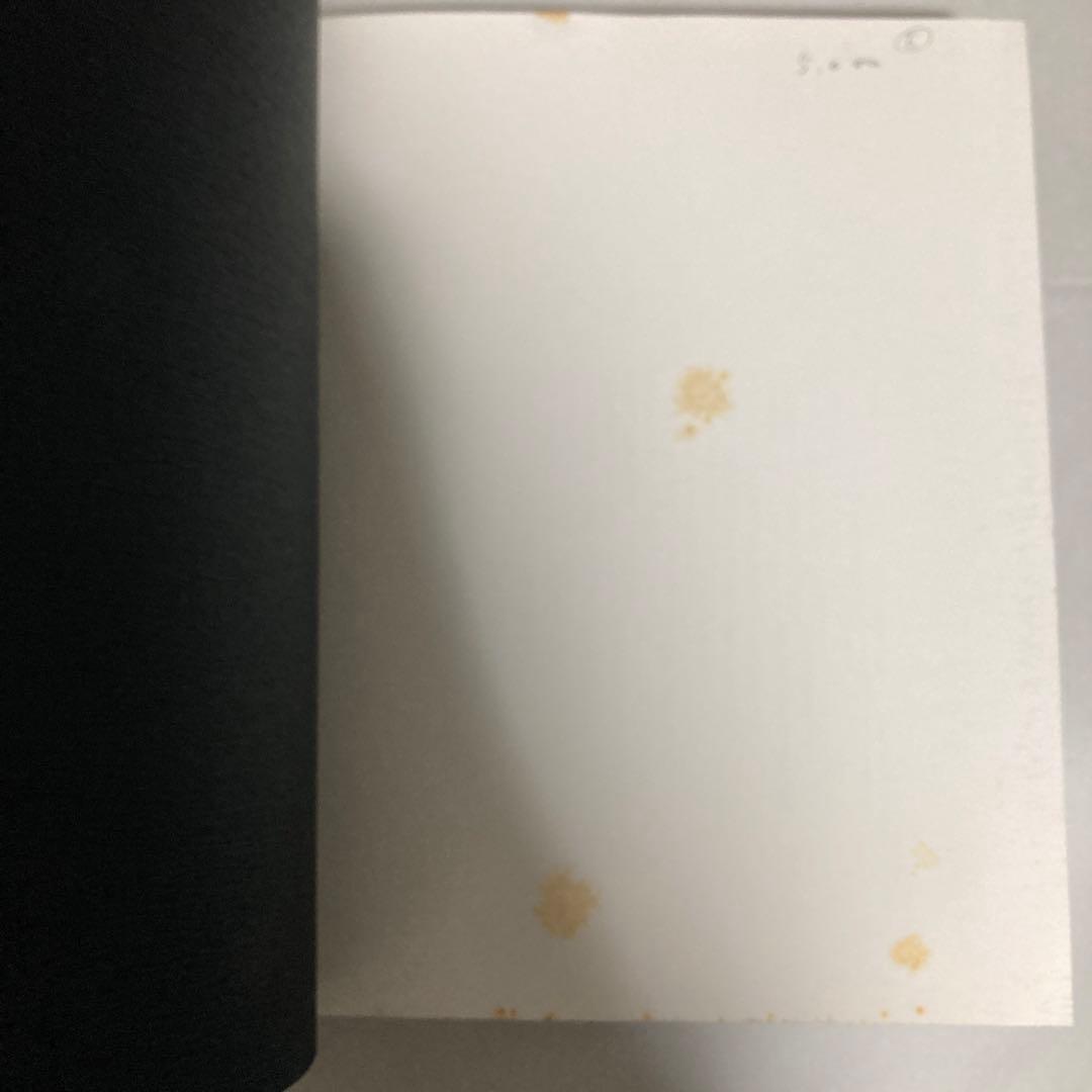 越後瞽女日記 普及版　斎藤真一　茶シミあり　匿名配送