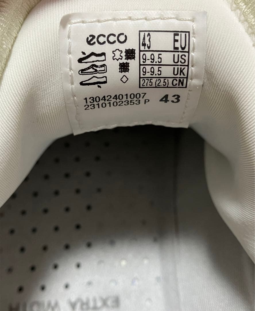 Eccoゴルフシューズ　サイズ43 BIOM C4
