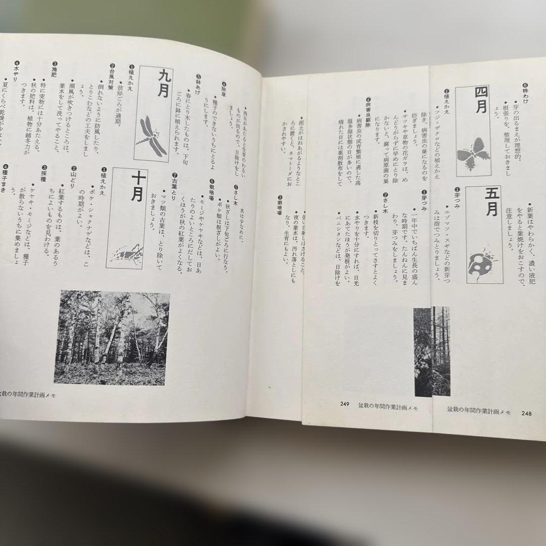 盆栽入門・整枝せん定・仕立てて楽しむ