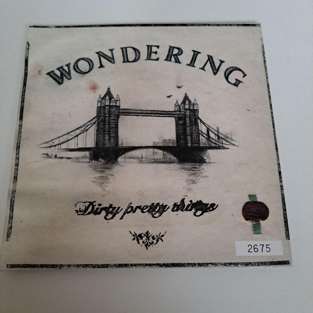 Dirty Pretty Things レコードセット ストロークス