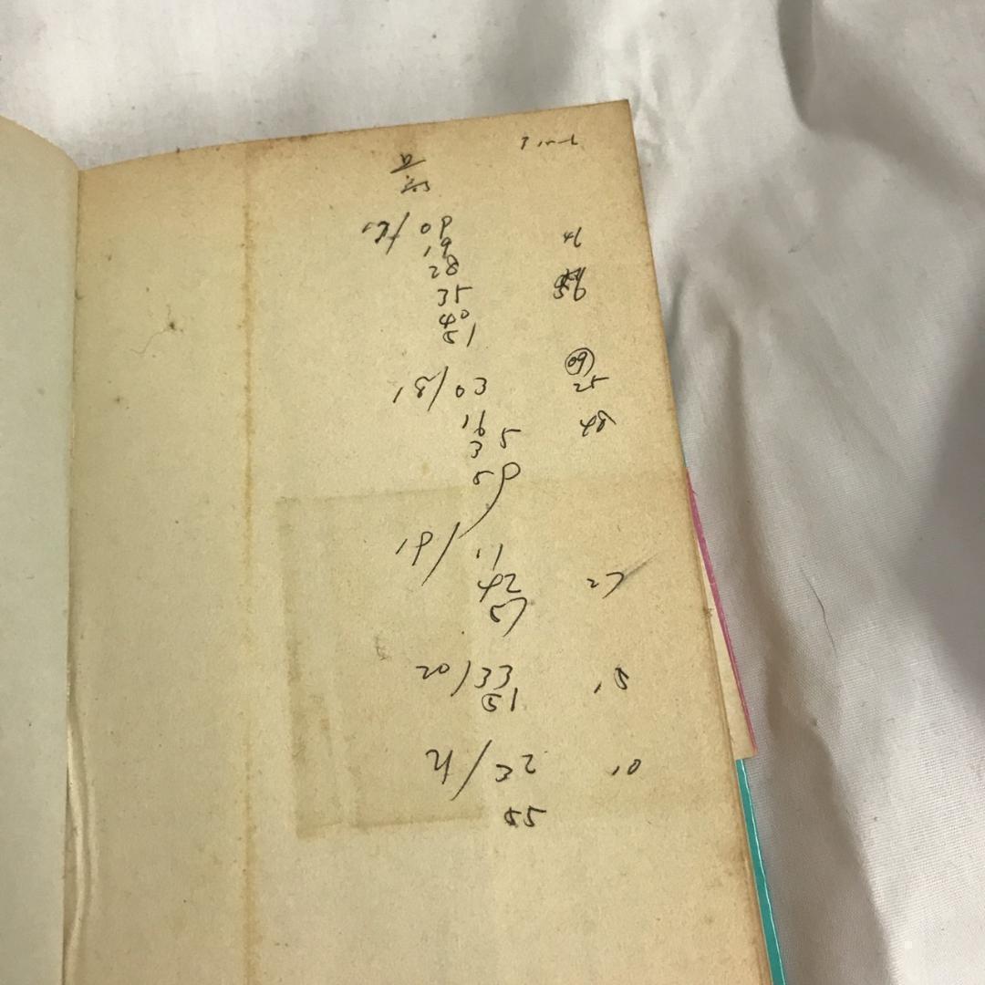 日本宝島殺人事件 長篇ミステリー (トクマノベルズ)