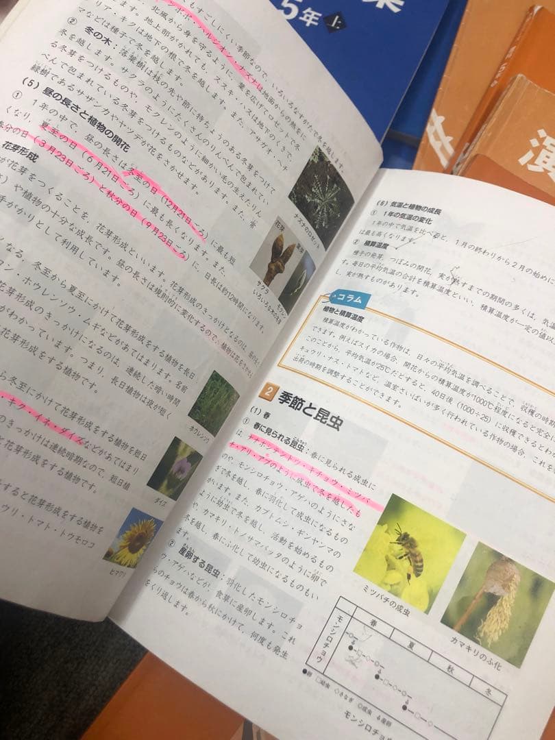 四谷大塚５年予習シリーズ国算理社/演習/漢字上下　２０２３年度版　中古