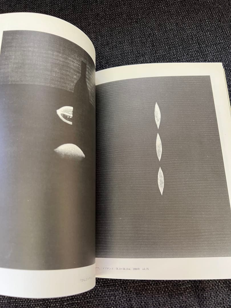 版画藝術 1984年春号 No45 ダニエル・スキオラ 特集版画誌 アート雑誌