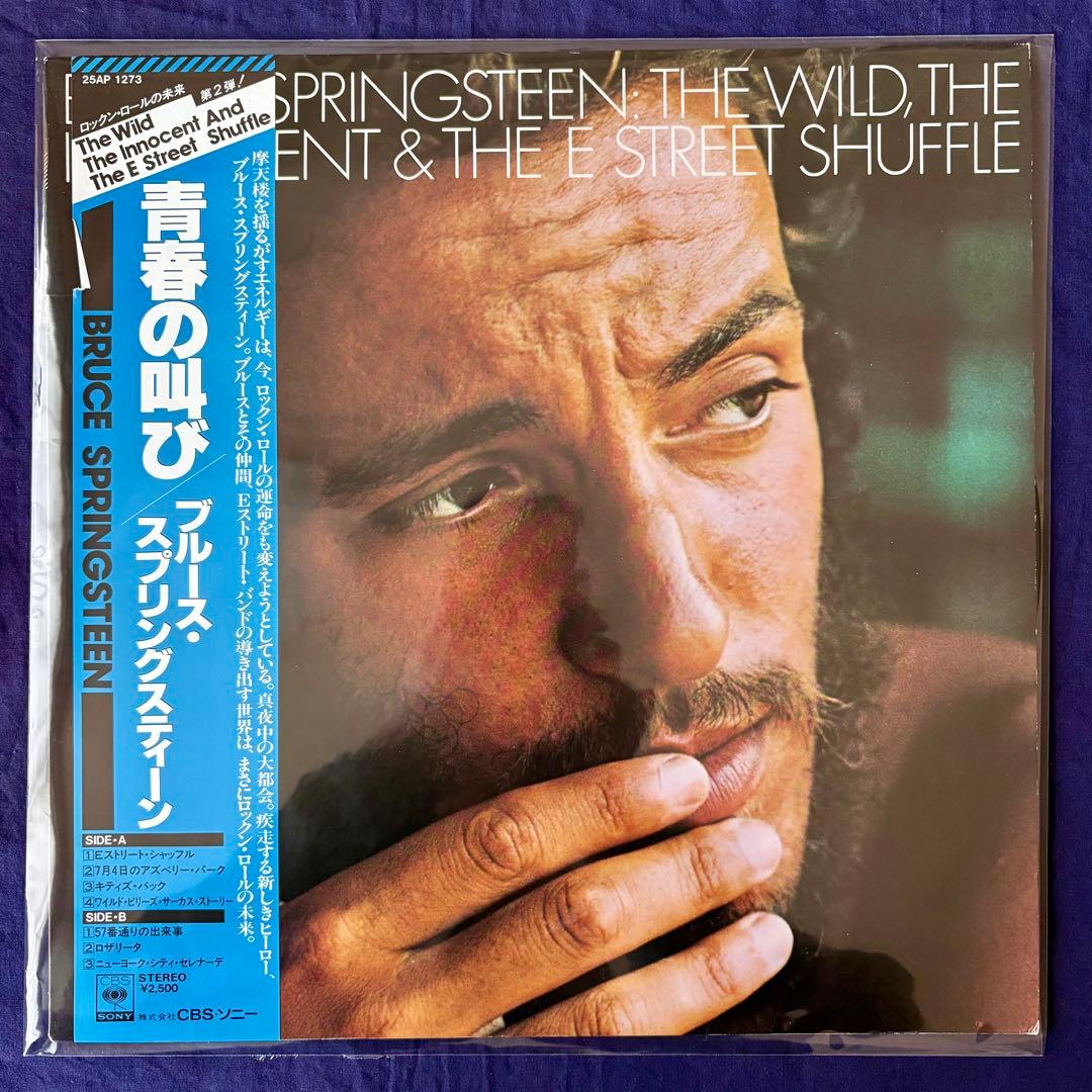 ブルース・スプリングスティーン国内盤LP 8種（9枚）