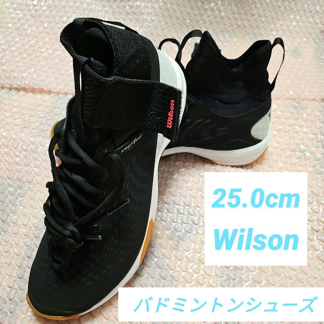 Wilson バドミントンシューズ 25.0cm VERTEXAMPLIFEEL