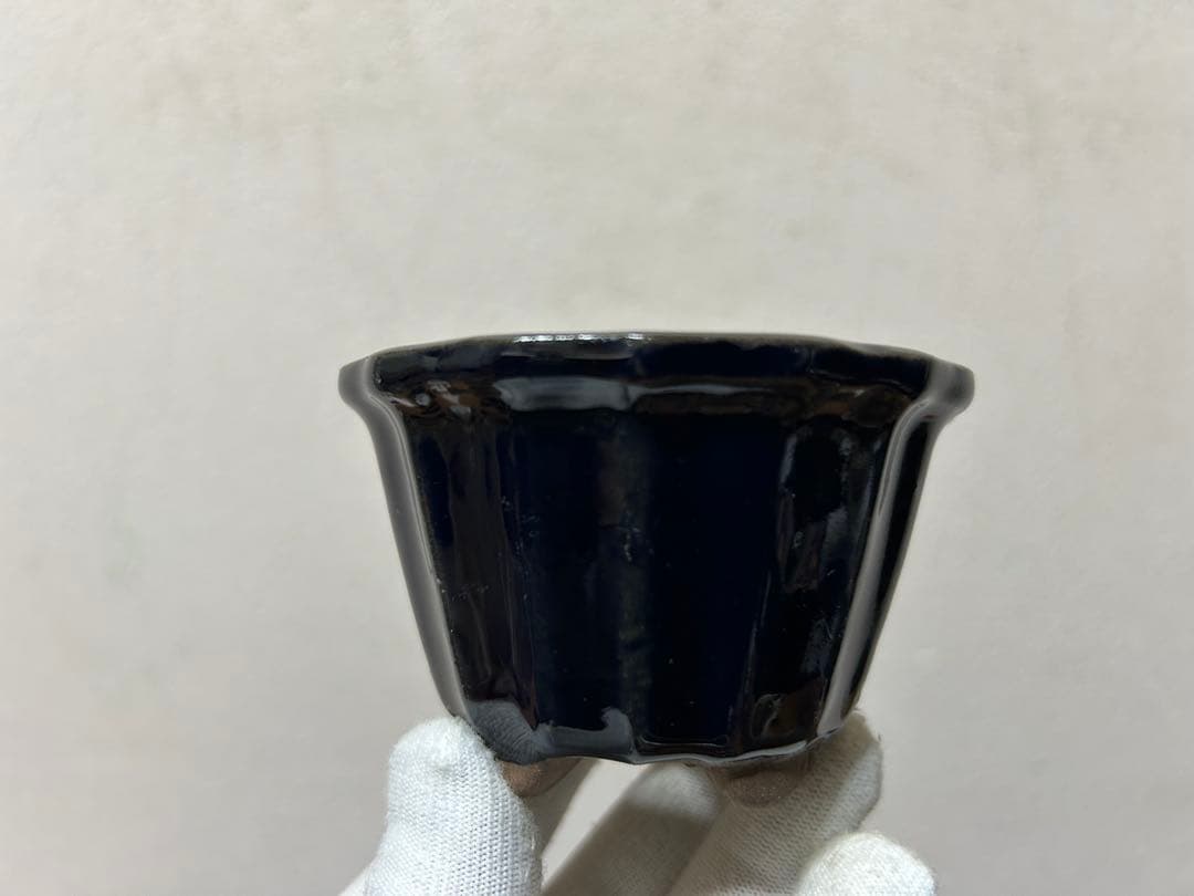 こけむすび