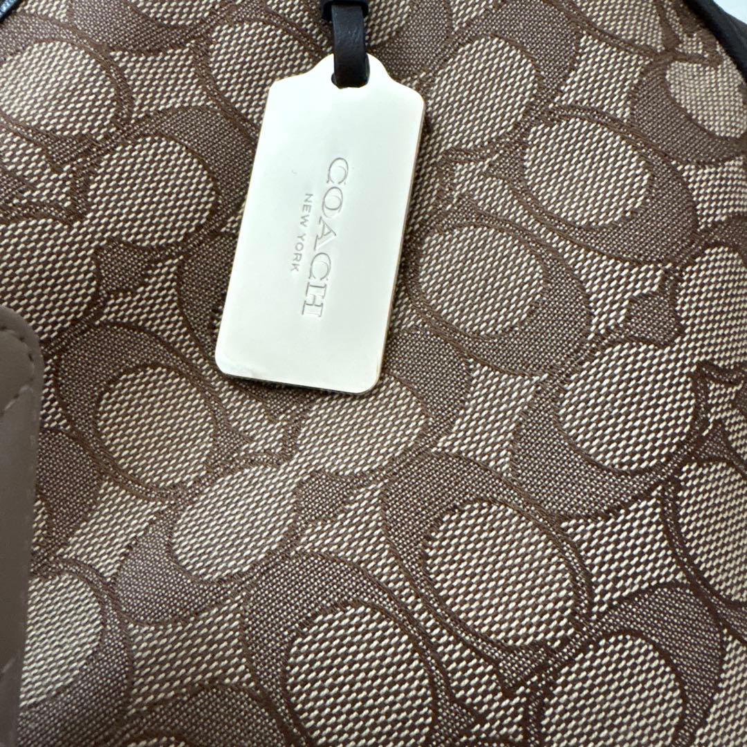 【美品】coach / イーディー /シグネチャージャガード　茶色