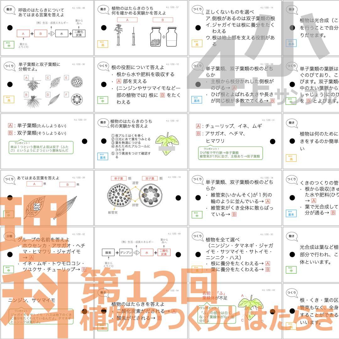 中学受験 暗記カード【4年上 社会・理科 6-19回】組分けテスト対策 予シリ