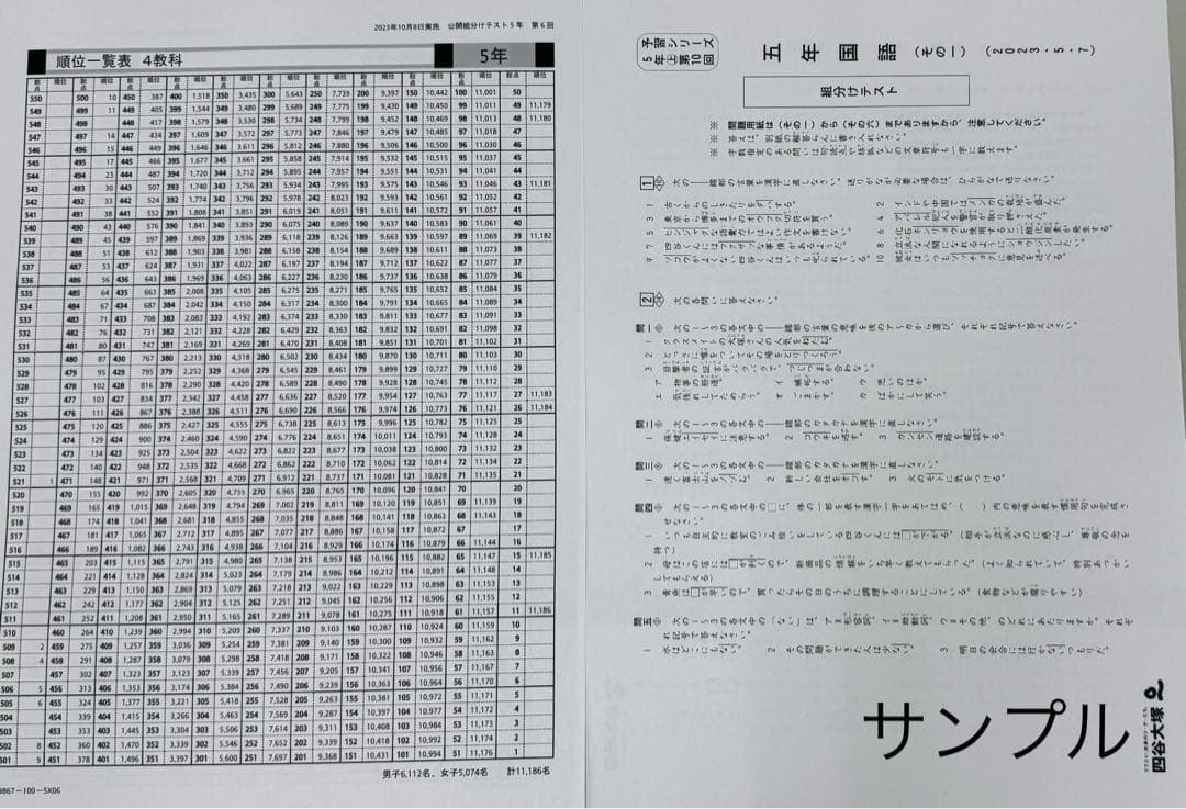 しょう⭐️⭐️四谷大塚　5年生　組分けテスト　3年分　過去問フルセット