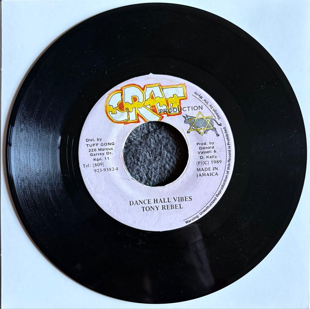 洋楽 Tony Rebel / Dance Hall Vibes