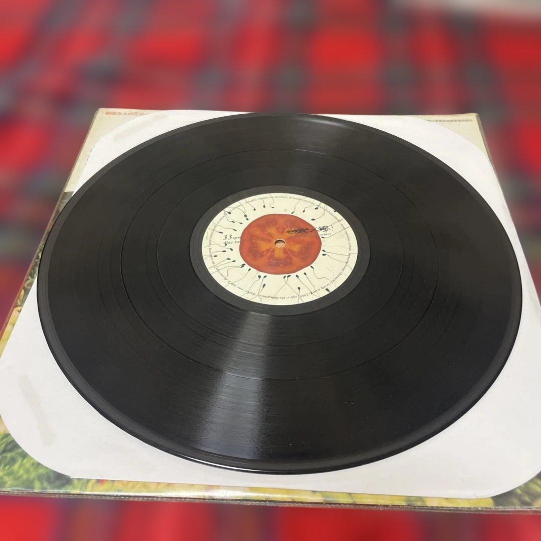 緑黄色人種 SHING02 アナログ盤 2枚組レコード 1999年 オリジナル盤