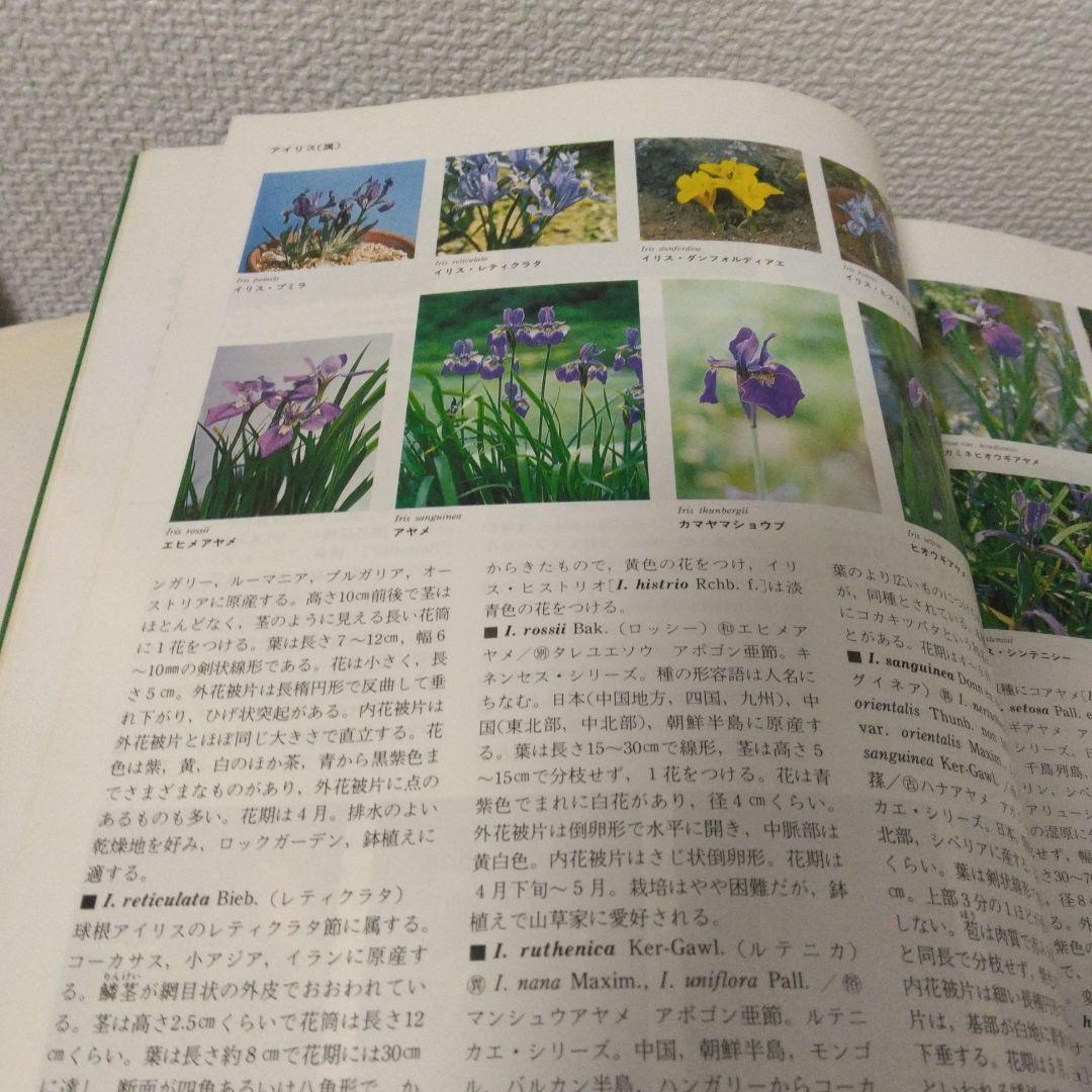 小学館 園芸植物大事典 コンパクト版