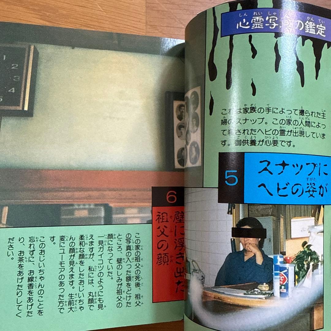 恐怖の霊 ケイブンシャの大百科 232 冝保愛子 心霊 霊界探検 怪奇系児童書