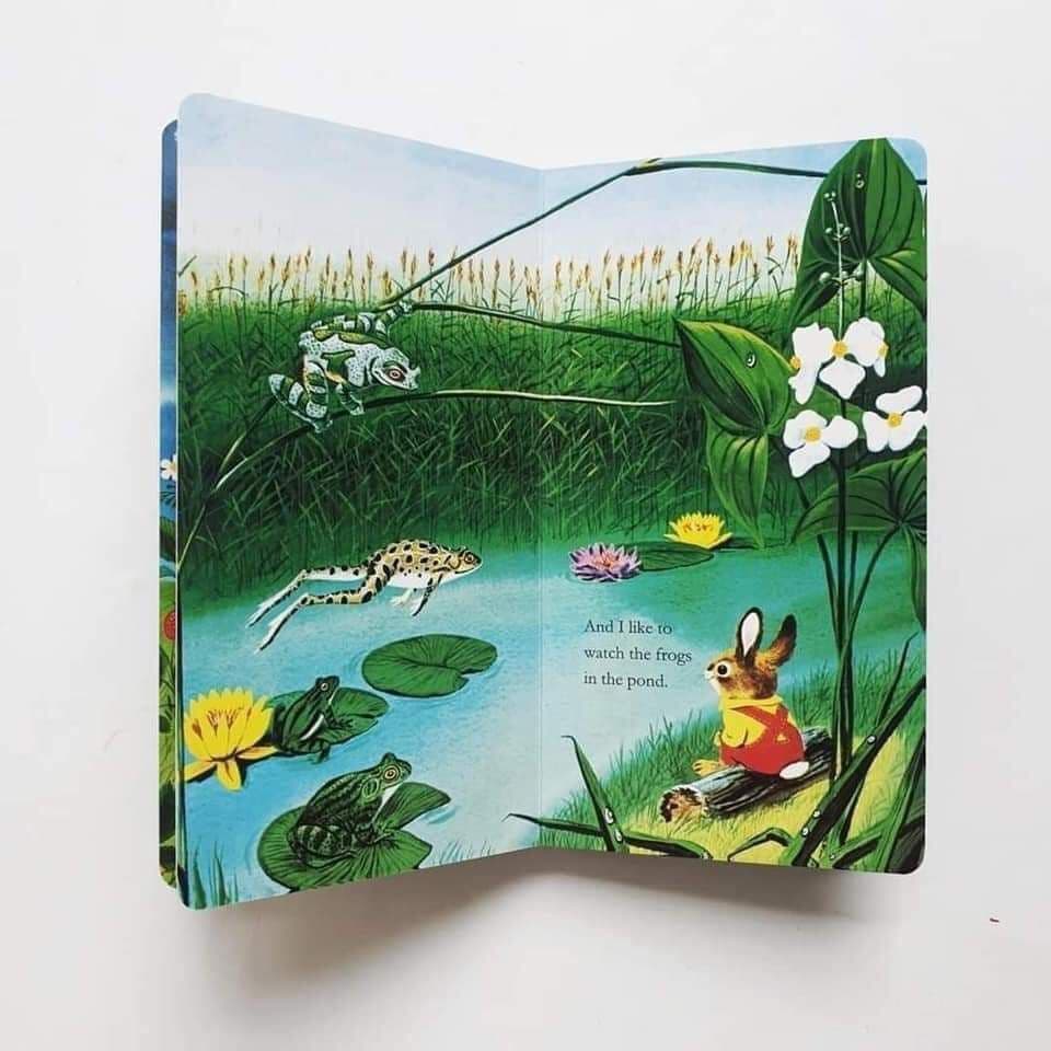 [新品。セール]9冊セット英語絵本　Eric Carle 他　まとめ売り