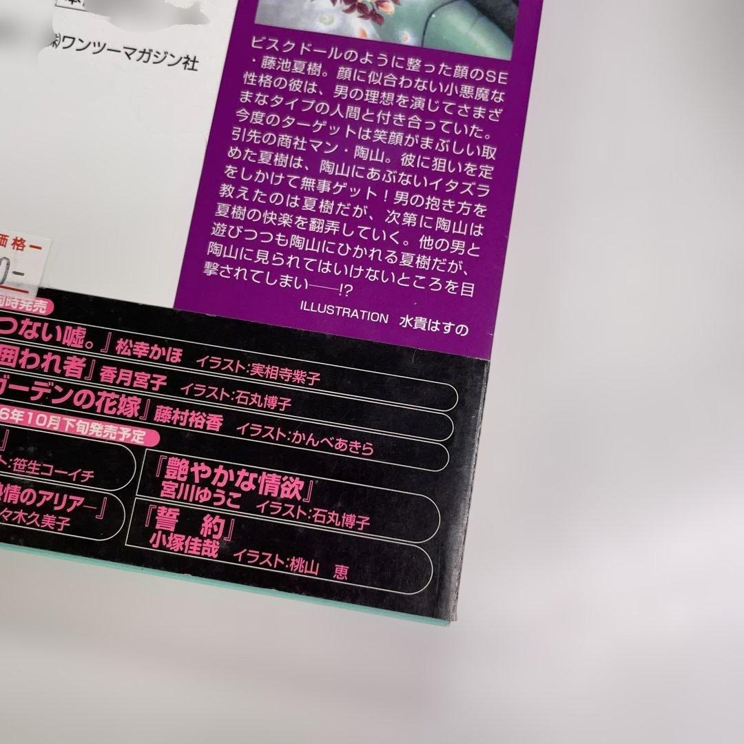 BL小説 ロマンス小説 23冊セット 夜光花 桐嶋リッカ はるの沙帆他