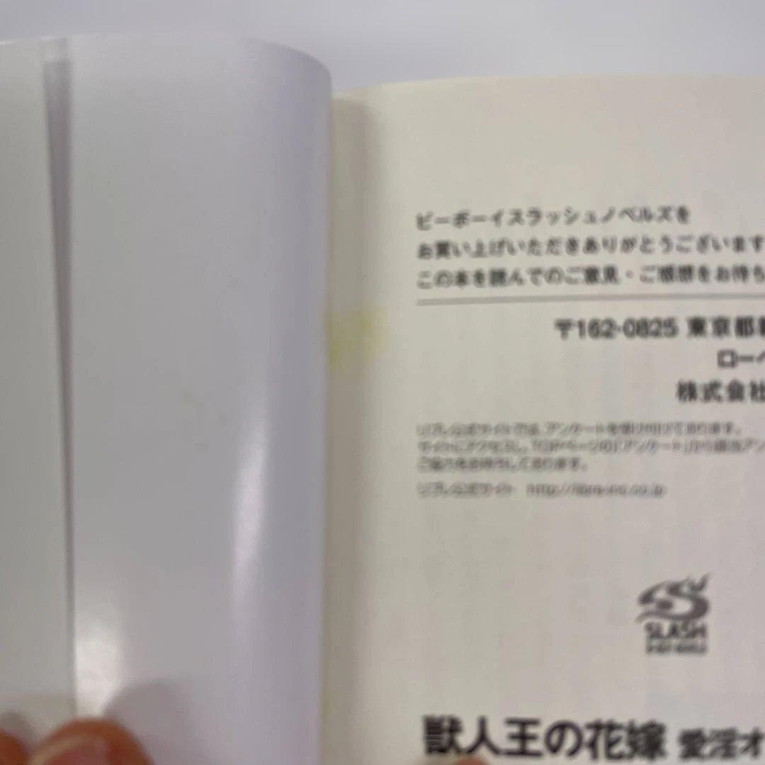 BL小説 ロマンス小説 23冊セット 夜光花 桐嶋リッカ はるの沙帆他